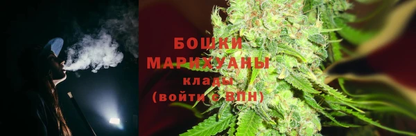 дмт Белокуриха