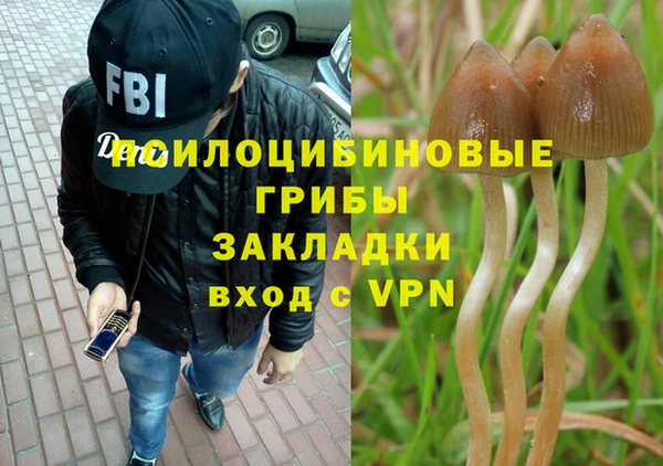 дмт Белокуриха