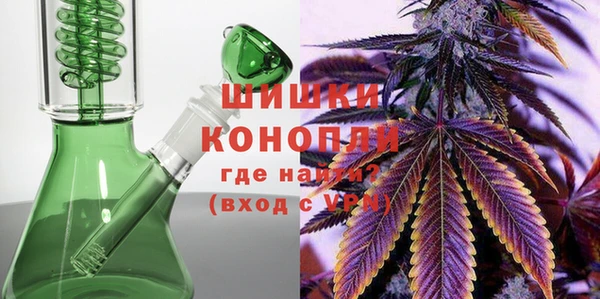 дмт Белокуриха