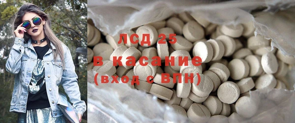 индика Богданович