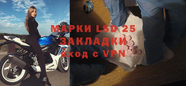 индика Богданович
