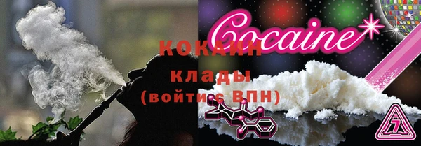 индика Богданович