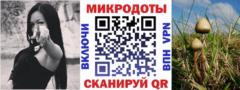 сколько стоит  Пенза  Галлюциногенные грибы Cubensis 